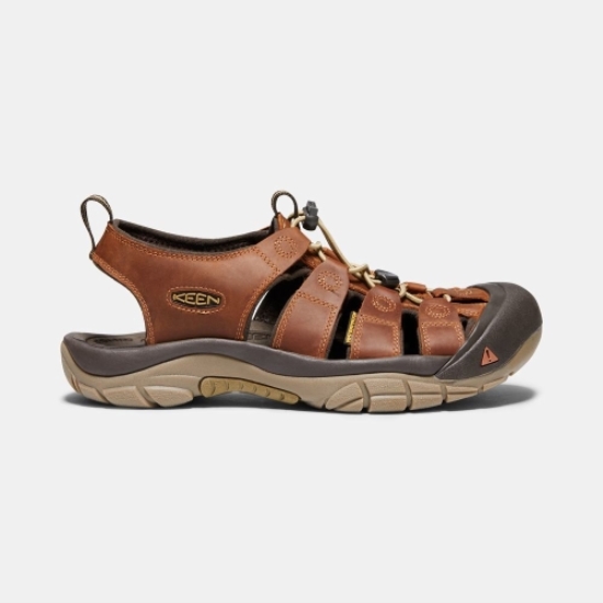 Brown Men's Keen Newport Sandals | 37148RKNL